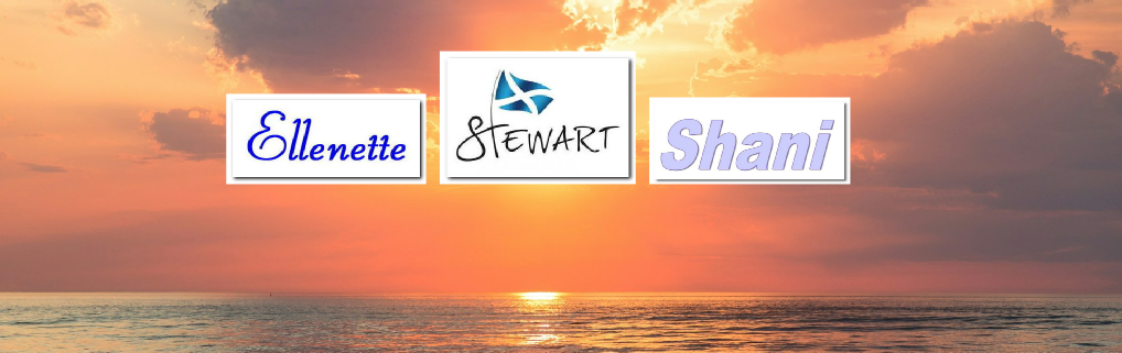 Mail: admin@haznet.co.za?subject=Web info: